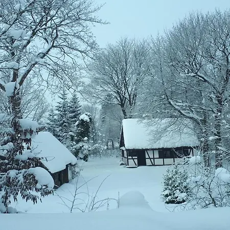 Malanka - Kaszubska Checz