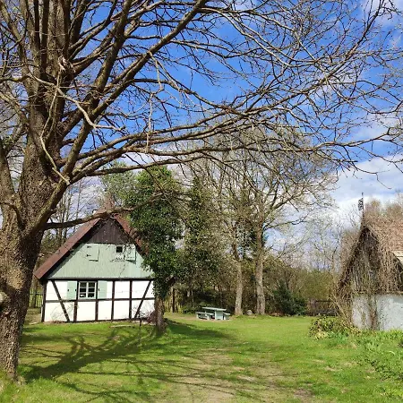 Malanka - Kaszubska Checz Strzepcz