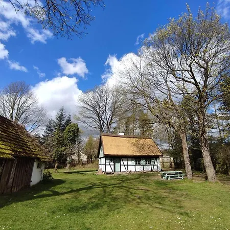 Malanka - Kaszubska Checz * Strzepcz