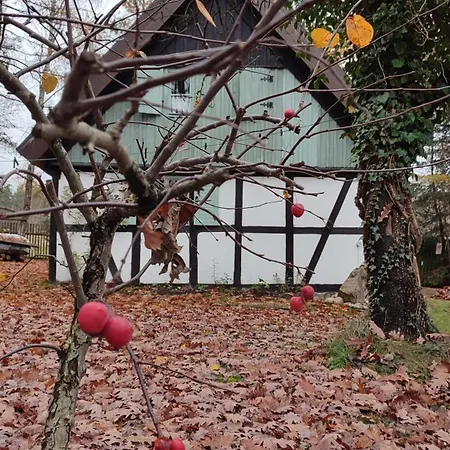 Malanka - Kaszubska Checz * Strzepcz