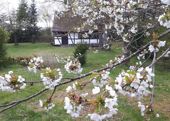 Casa de Férias Malanka - Kaszubska Checz