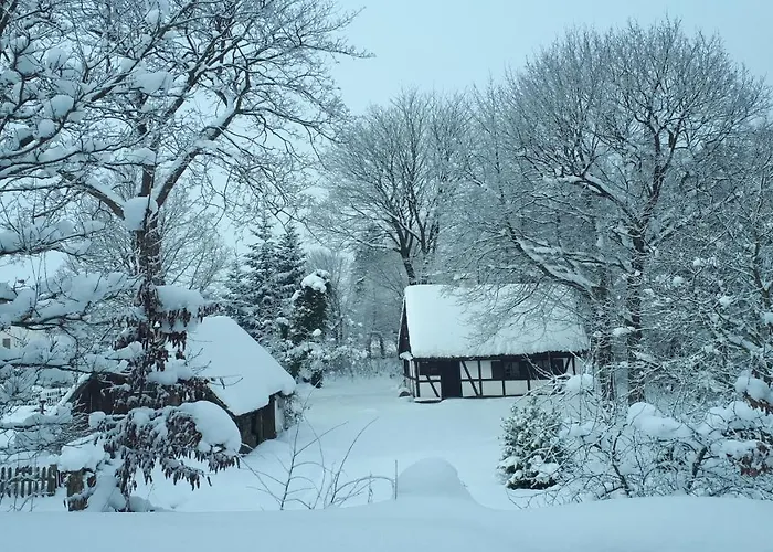 Malanka - Kaszubska Checz