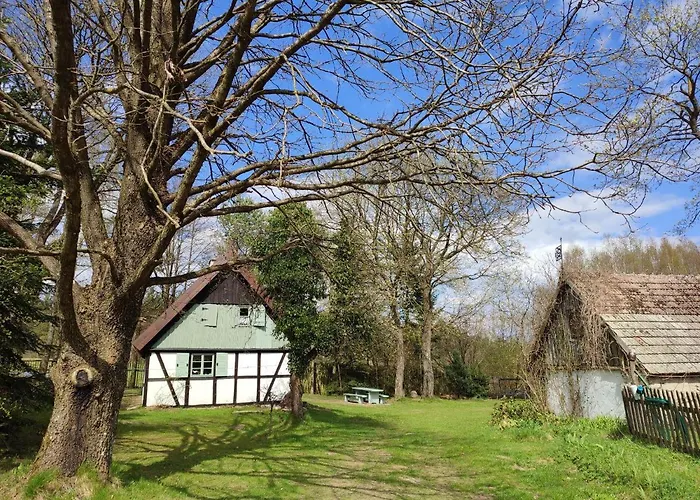 Malanka - Kaszubska Checz Strzepcz