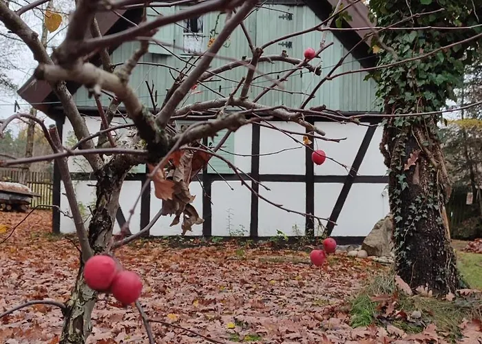 Malanka - Kaszubska Checz * Strzepcz