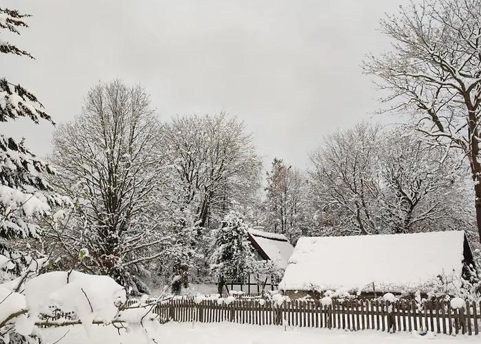 Malanka - Kaszubska Checz